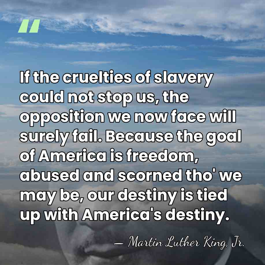 If the cruelties of slavery could not stop us, the opposition we&hellip; - Martin Luther King, Jr.