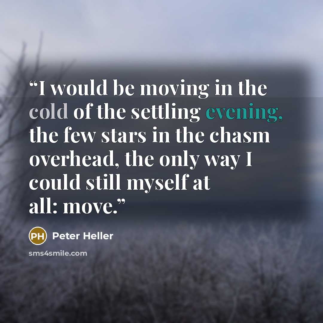 “I would be moving in the cold of the settling evening, the few stars in the chasm overhead, the only way I could still myself at all: move.” quote by Peter Heller