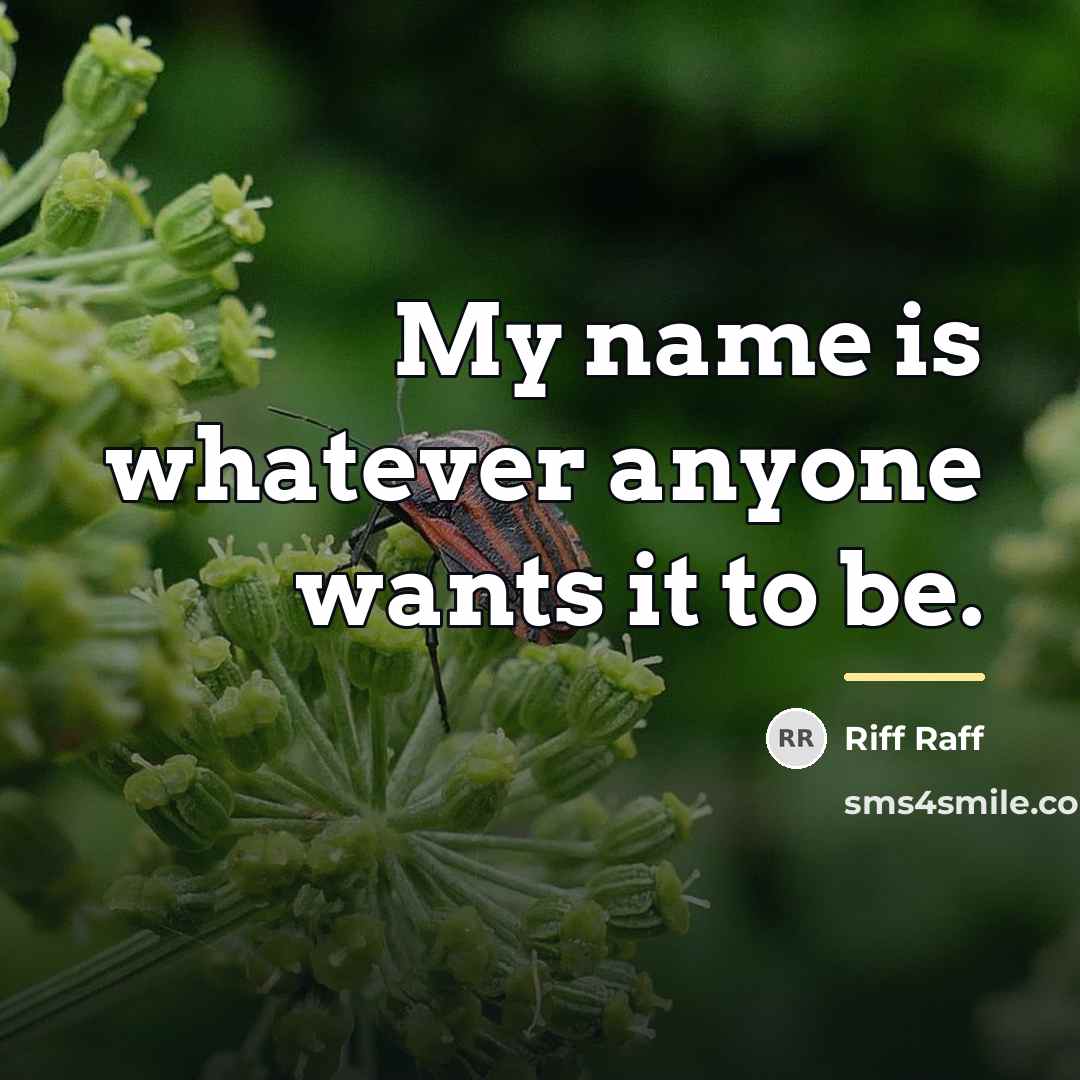 “My name is whatever anyone wants it to be.…” quote by Riff Raff