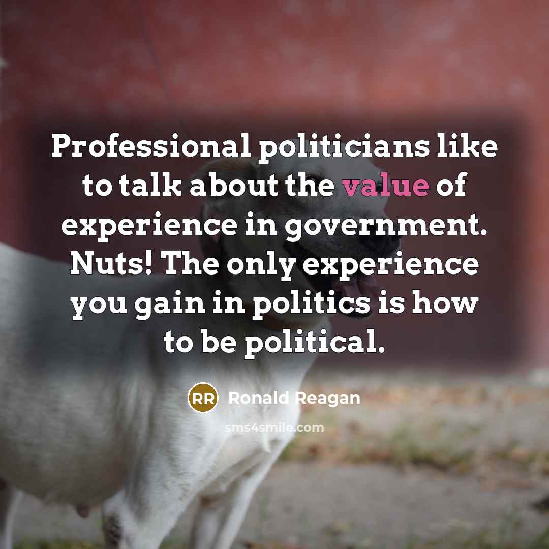 “Professional politicians like to talk about the value of experience…” quote by Ronald Reagan