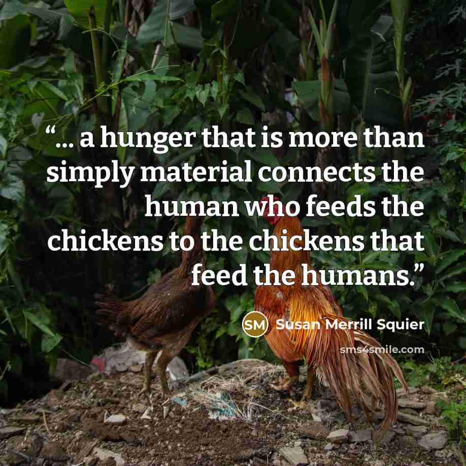 “... a hunger that is more than simply material connects the human who feeds the chickens to the chickens that feed the humans.” quote by Susan Merrill Squier