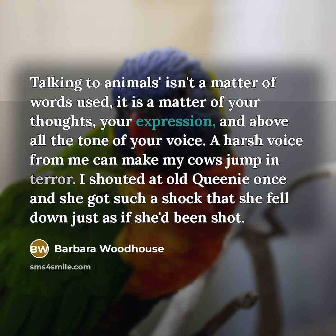 “Talking to animals' isn't a matter of words used, it…” quote by Barbara Woodhouse