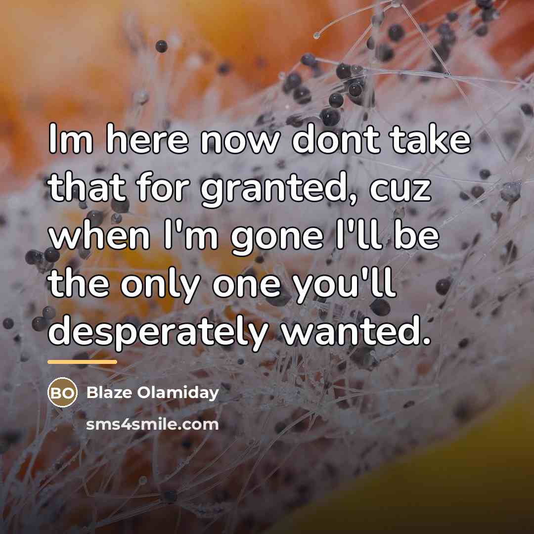 “Im here now dont take that for granted, cuz when…” quote by Blaze Olamiday