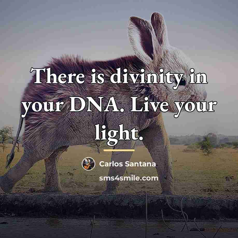 “There is divinity in your DNA. Live your light.…” quote by Carlos Santana