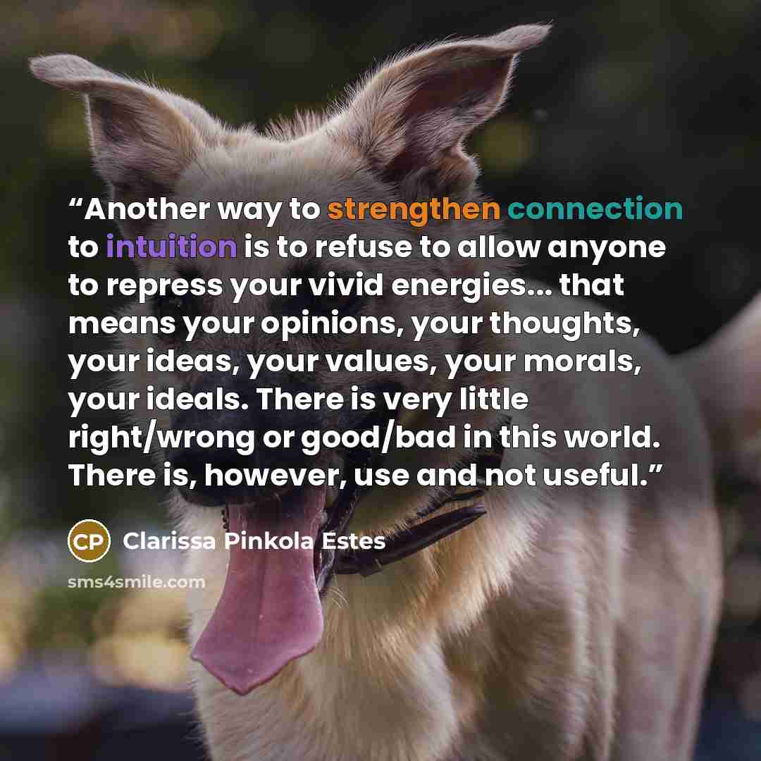 “Another way to strengthen connection to intuition is to refuse to allow anyone to repress your vivid energies... that means your opinions, your thoughts, your ideas, your values, your morals, your ideals. There is very little right/wrong or good/bad in this world. There is, however, use and not…” quote by Clarissa Pinkola Estés