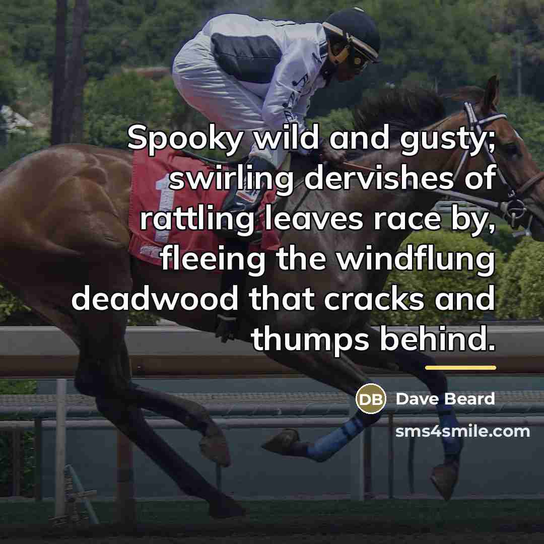 “Spooky wild and gusty; swirling dervishes of rattling leaves race…” quote by Dave Beard