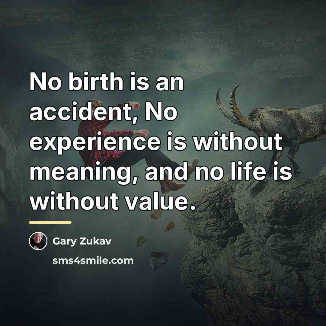 “No birth is an accident, No experience is without meaning,…” quote by Gary Zukav