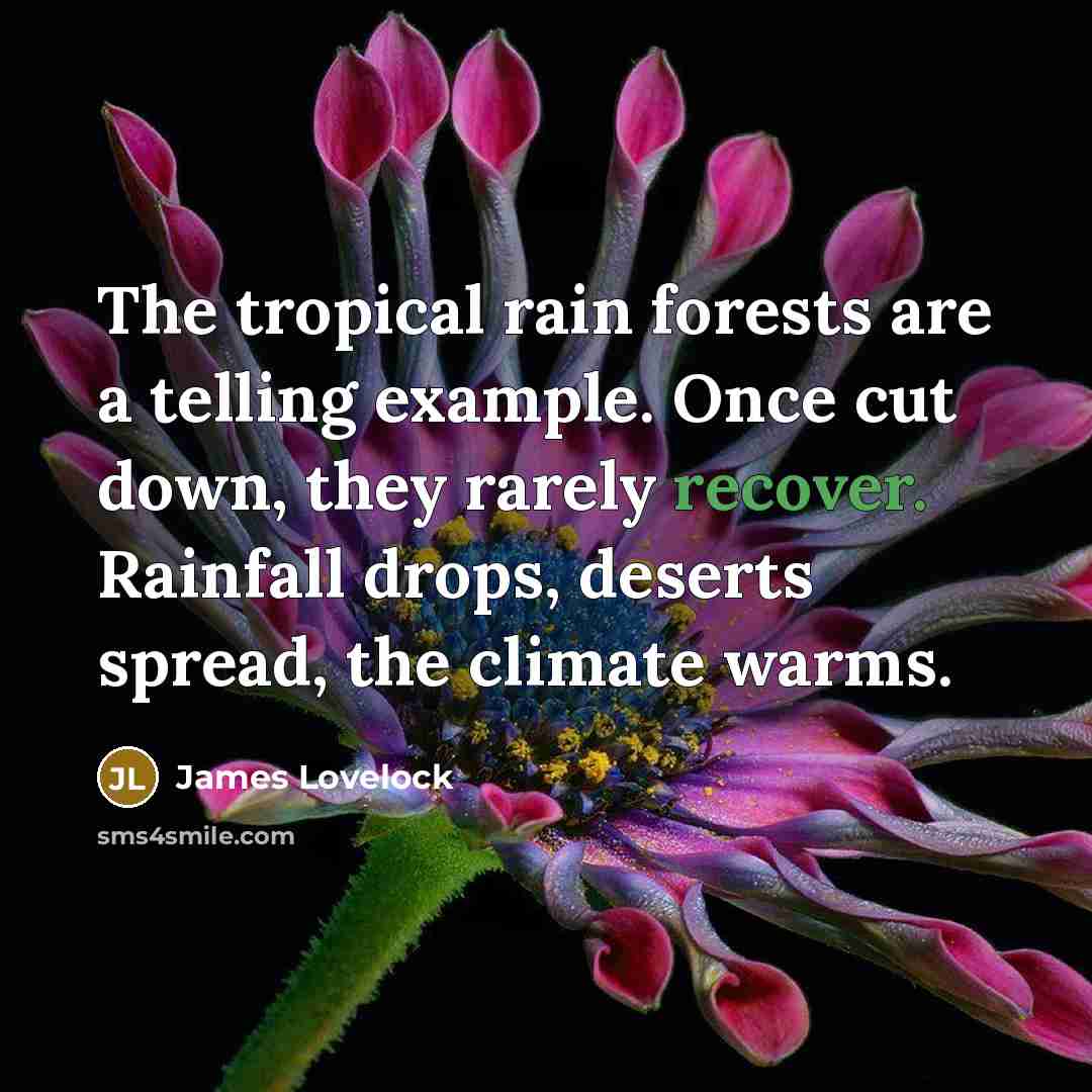 “The tropical rain forests are a telling example. Once cut…” quote by James Lovelock