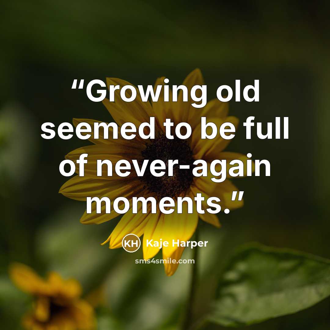 “Growing old seemed to be full of never-again moments.” quote by Kaje Harper