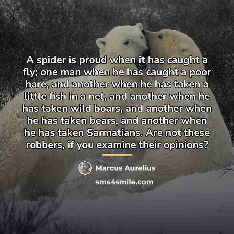 “A spider is proud when it has caught a fly;…” quote by Marcus Aurelius