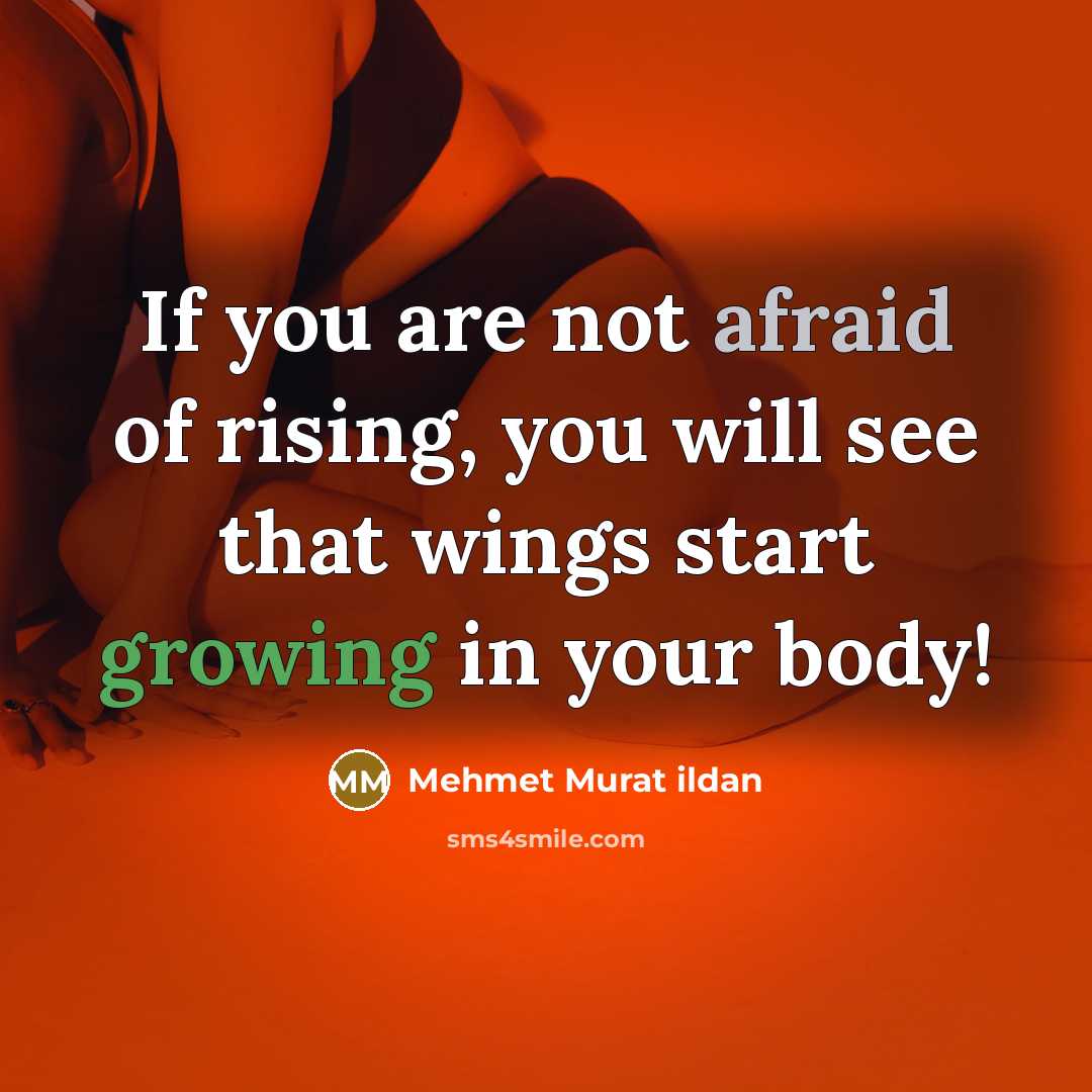 “If you are not afraid of rising, you will see…” quote by Mehmet Murat Ildan