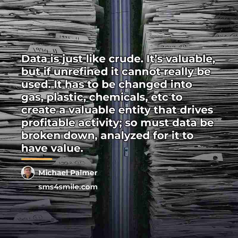 “Data is just like crude. It’s valuable, but if unrefined…” quote by Michael Palmer