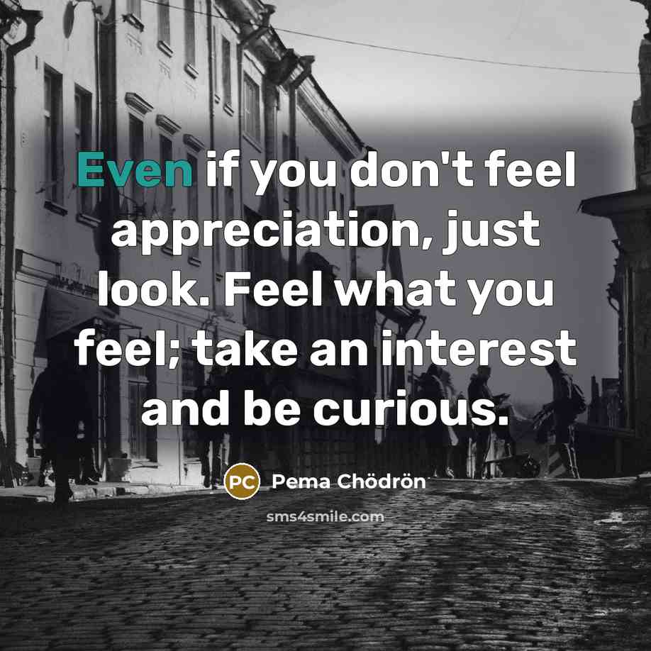 “Even if you don't feel appreciation, just look. Feel what…” quote by Pema Chodron