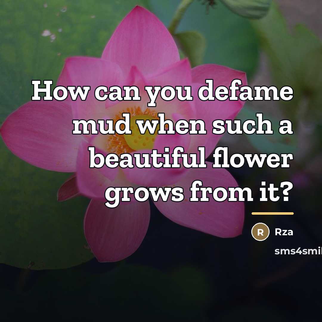 “How can you defame mud when such a beautiful flower…” quote by RZA