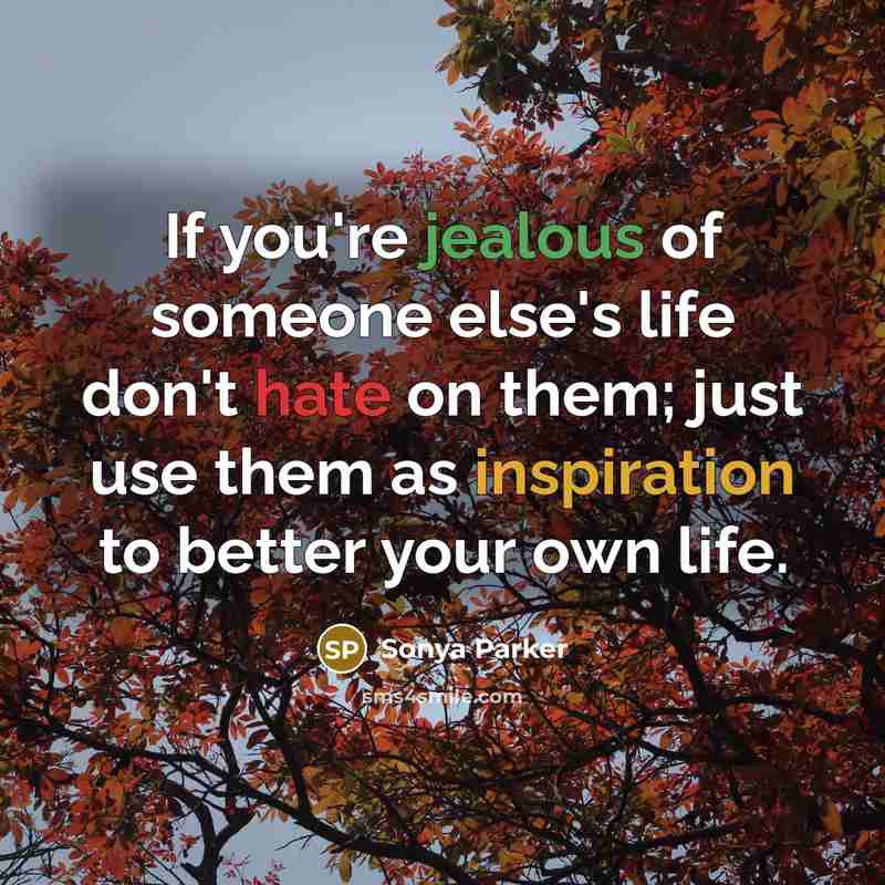 “If you're jealous of someone else's life don't hate on…” quote by Sonya Parker