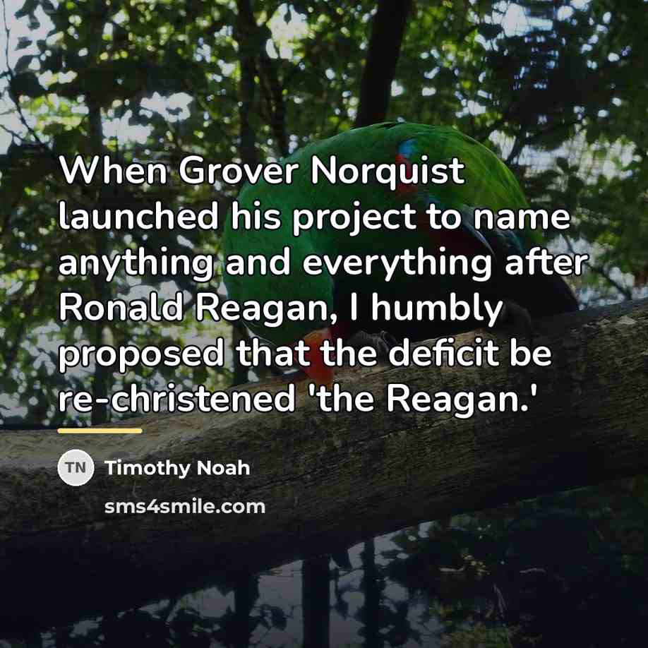 “When Grover Norquist launched his project to name anything and…” quote by Timothy Noah