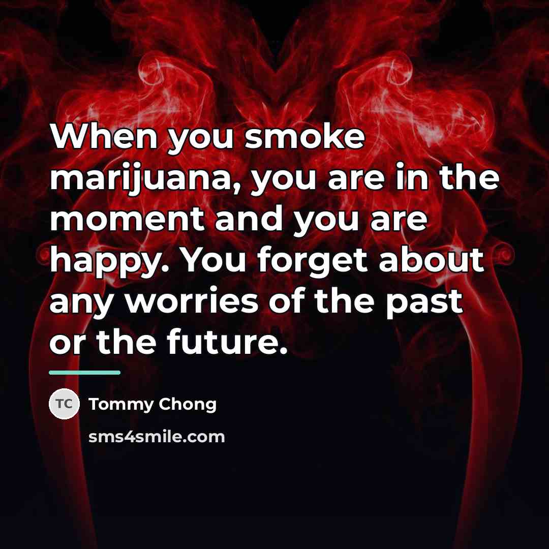 “When you smoke marijuana, you are in the moment and…” quote by Tommy Chong