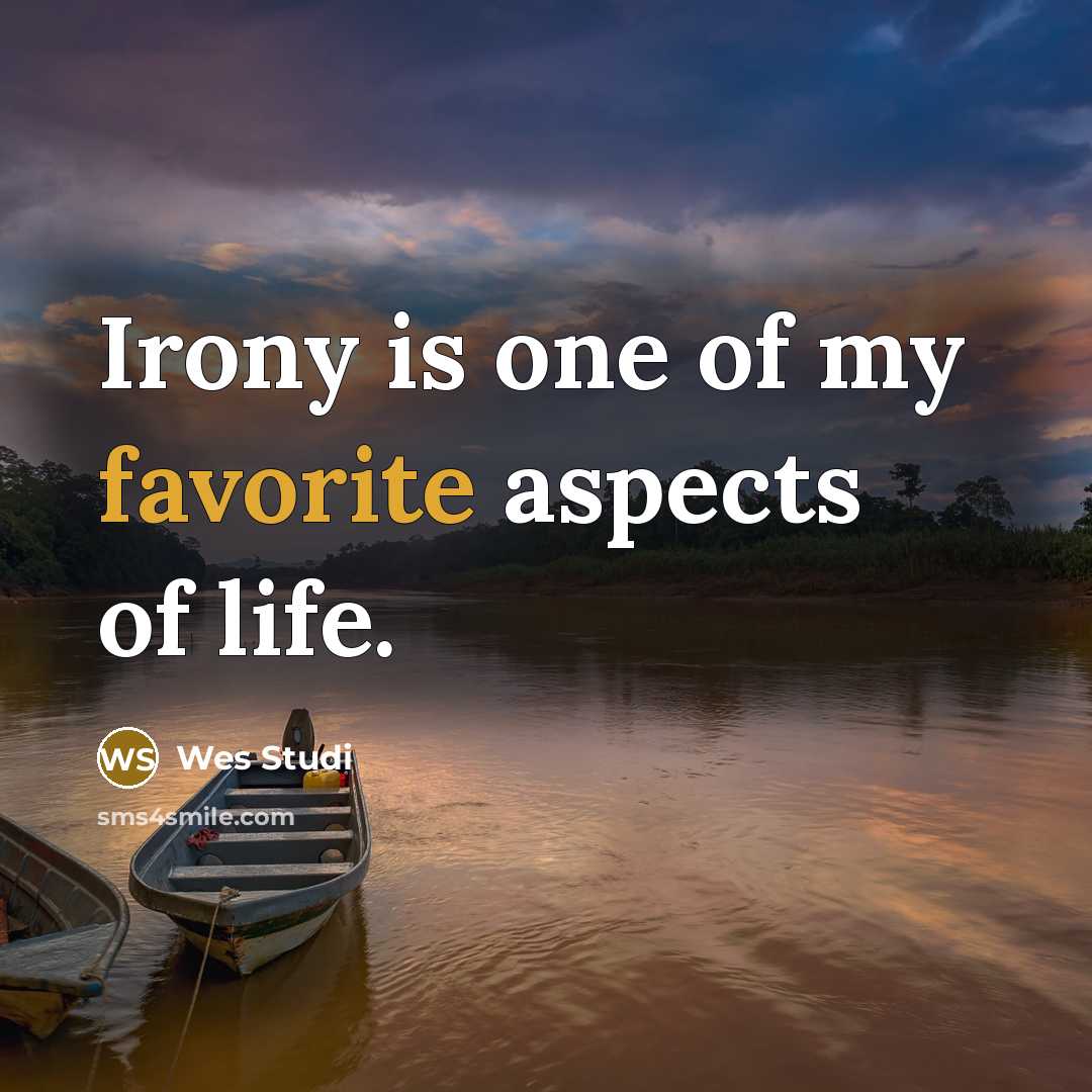 “Irony is one of my favorite aspects of life.…” quote by Wes Studi