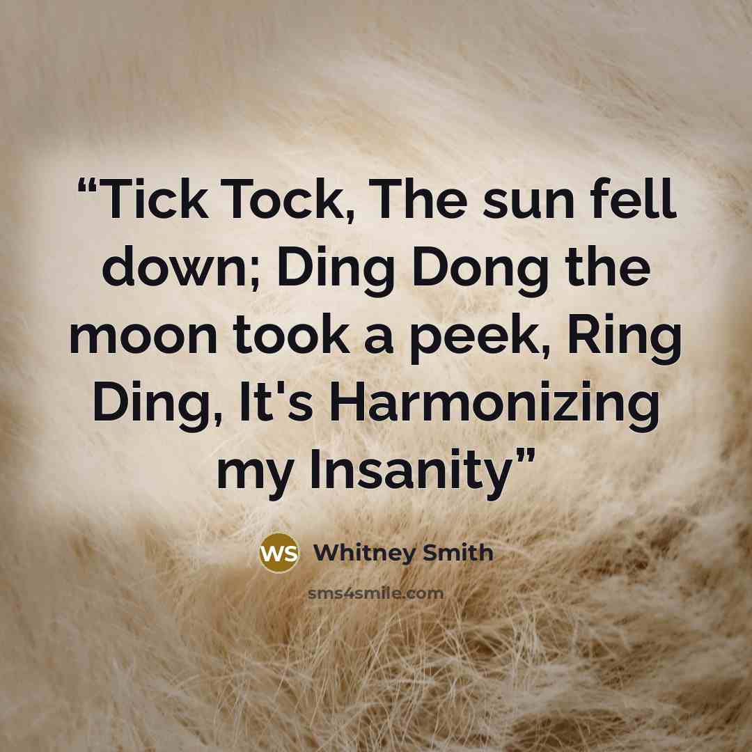 “Tick Tock, The sun fell down; Ding Dong the moon took a peek, Ring Ding, It's Harmonizing my Insanity” quote by Whitney Smith