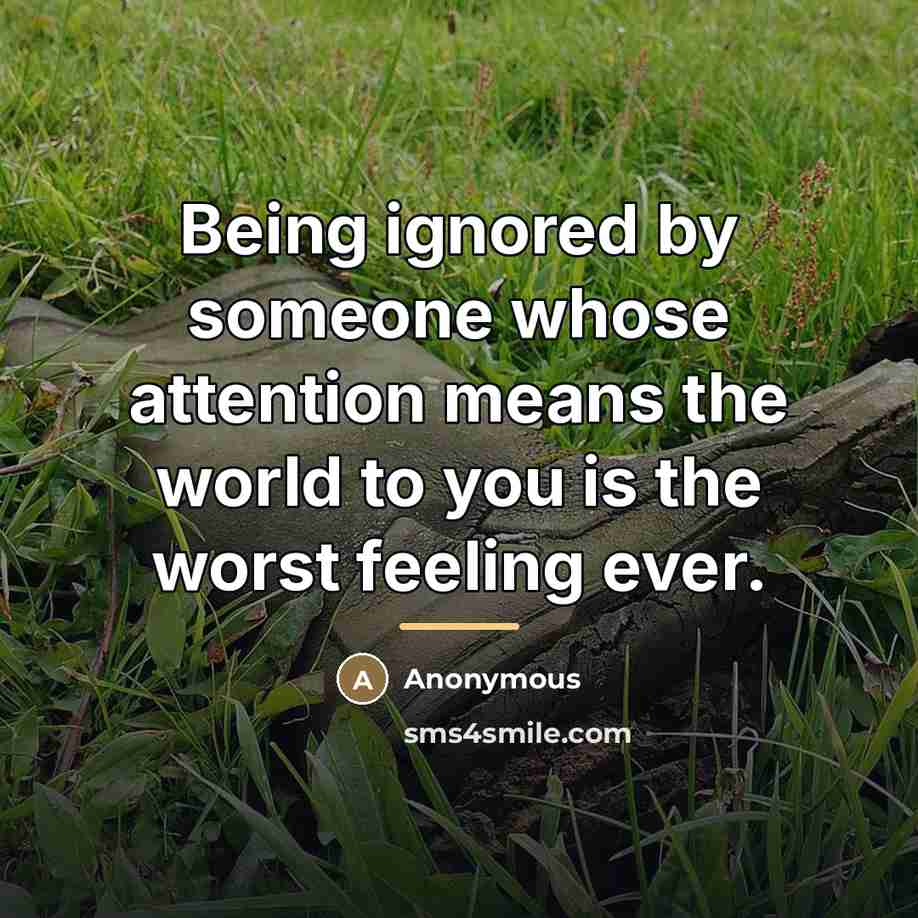 “Being ignored by someone whose attention means the world to…” quote by Anonymous
