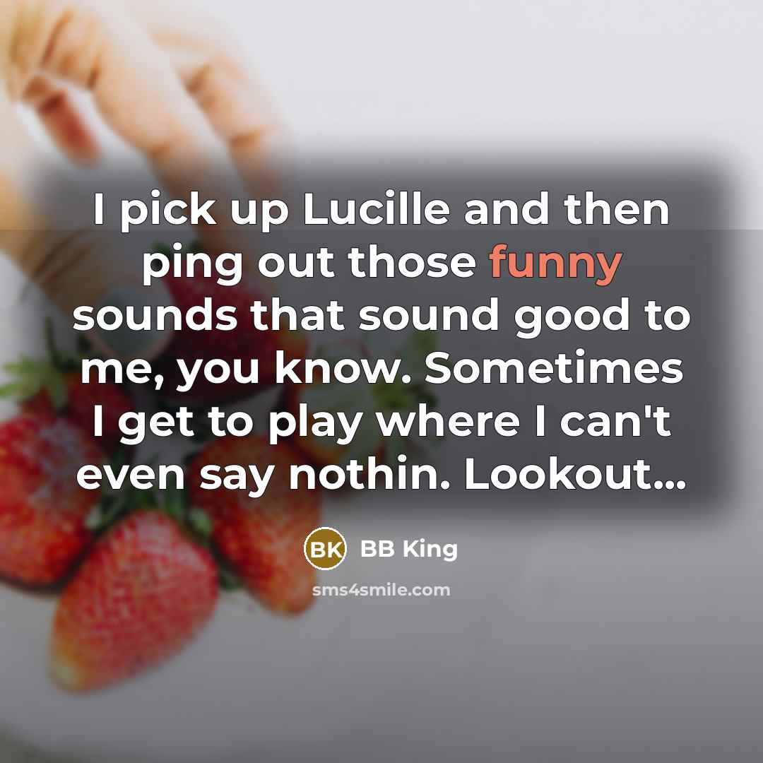 “I pick up Lucille and then ping out those funny…” quote by BB King