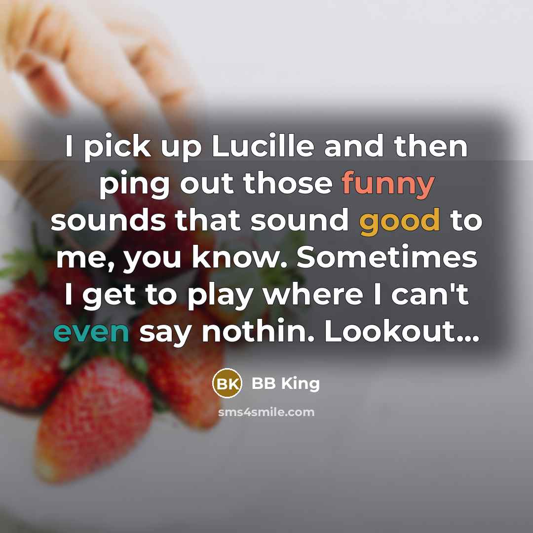 “I pick up Lucille and then ping out those funny sounds that sound good to me, you know. Sometimes I get to play where I can't even say nothin. Lookout...” quote by BB King