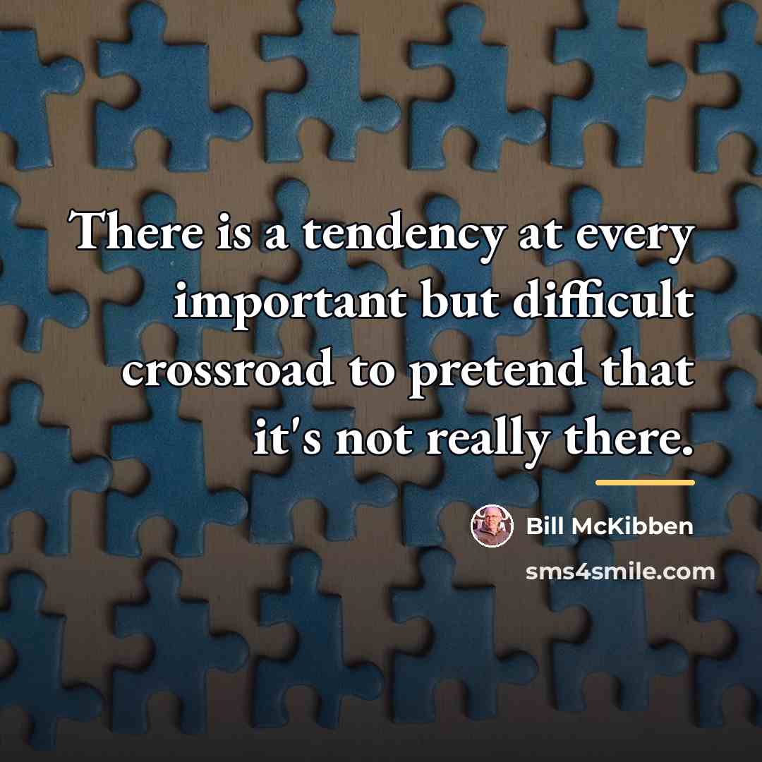 “There is a tendency at every important but difficult crossroad…” quote by Bill McKibben