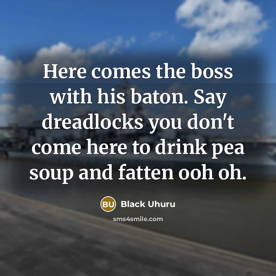 “Here comes the boss with his baton. Say dreadlocks you…” quote by Black Uhuru