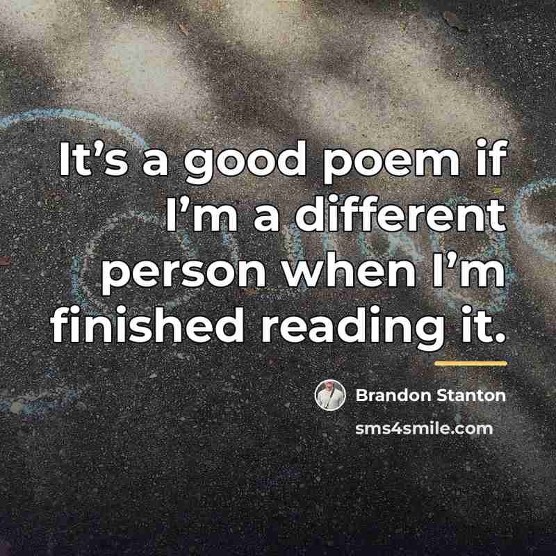 “It’s a good poem if I’m a different person when…” quote by Brandon Stanton