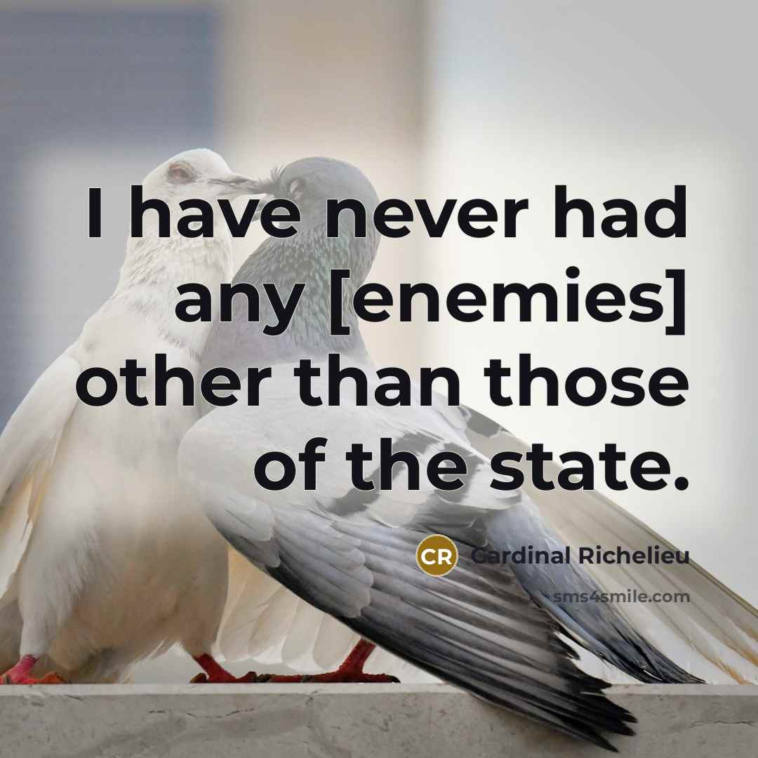 “I have never had any [enemies] other than those of…” quote by Cardinal Richelieu