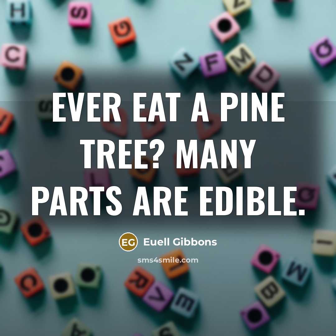 “Ever eat a pine tree? Many parts are edible.…” quote by Euell Gibbons