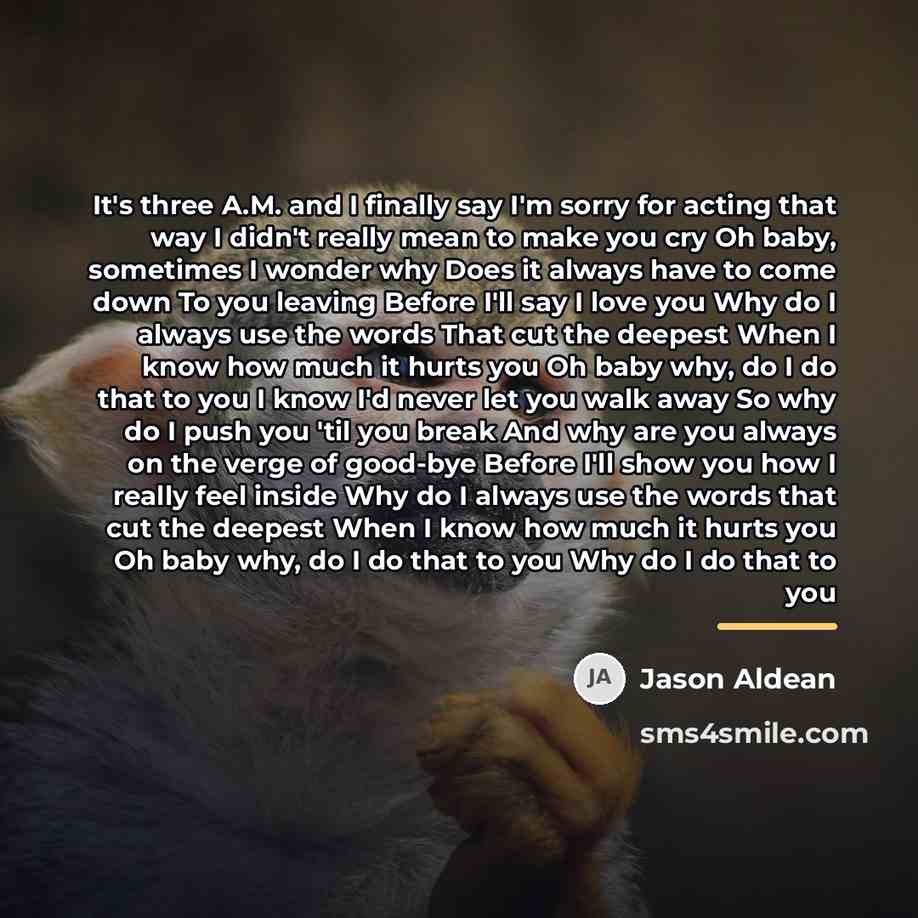 “It's three A.M. and I finally say I'm sorry for…” quote by Jason Aldean