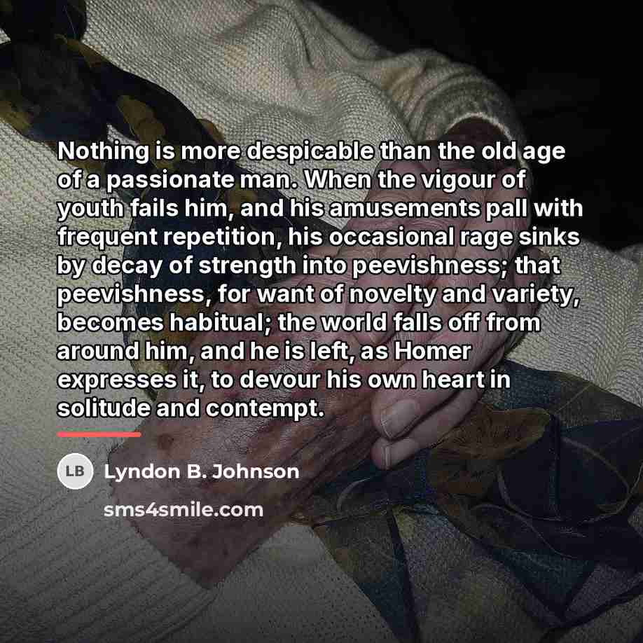 “Nothing is more despicable than the old age of a…” quote by Lyndon B. Johnson