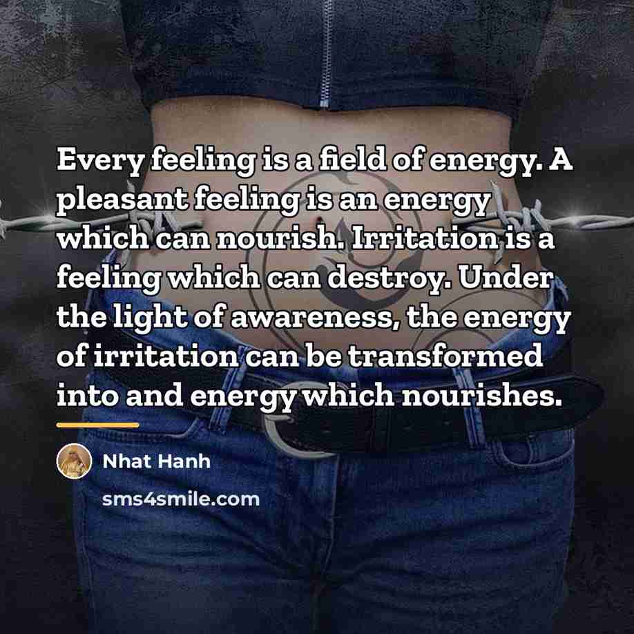 “Every feeling is a field of energy. A pleasant feeling…” quote by Nhat Hanh