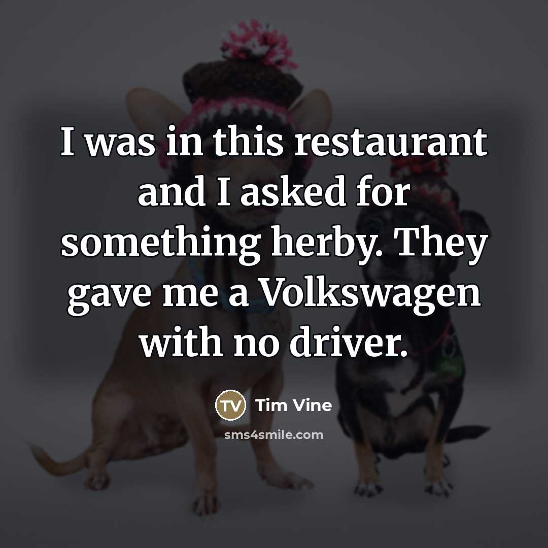 “I was in this restaurant and I asked for something…” quote by Tim Vine