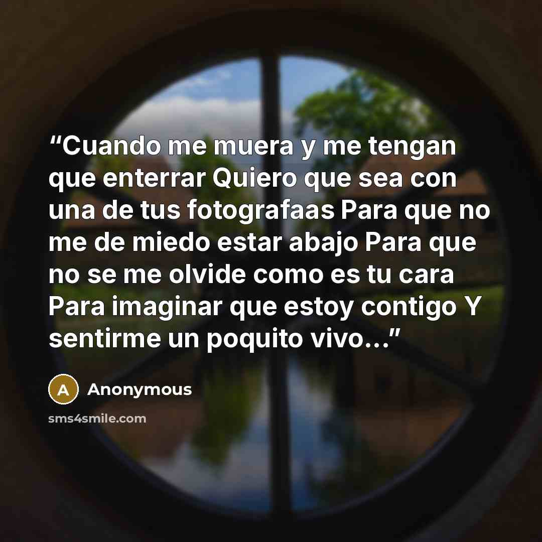 “Cuando me muera y me tengan que enterrar Quiero que sea con una de tus fotografaas Para que no me de miedo estar abajo Para que no se me olvide como es tu cara Para imaginar que estoy contigo Y sentirme un poquito vivo...” quote by Anonymous