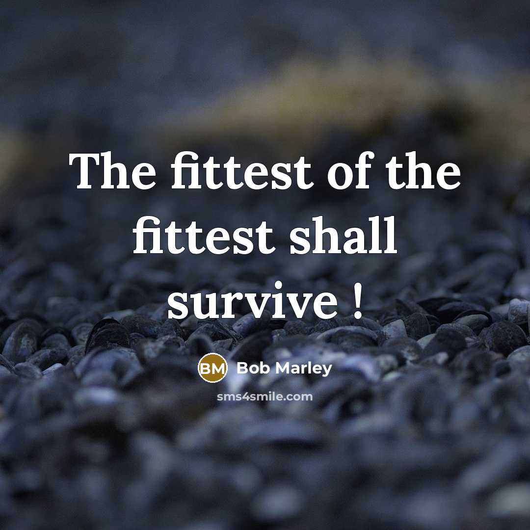 “The fittest of the fittest shall survive !” quote by Bob Marley