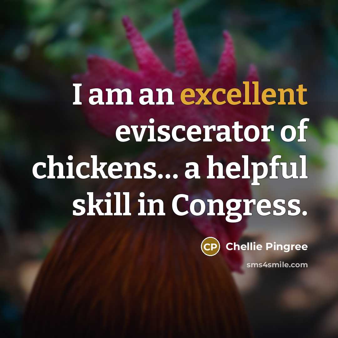 “I am an excellent eviscerator of chickens… a helpful skill…” quote by Chellie Pingree