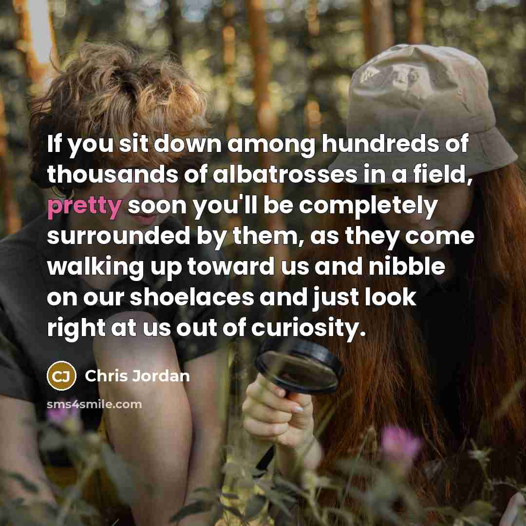 “If you sit down among hundreds of thousands of albatrosses…” quote by Chris Jordan