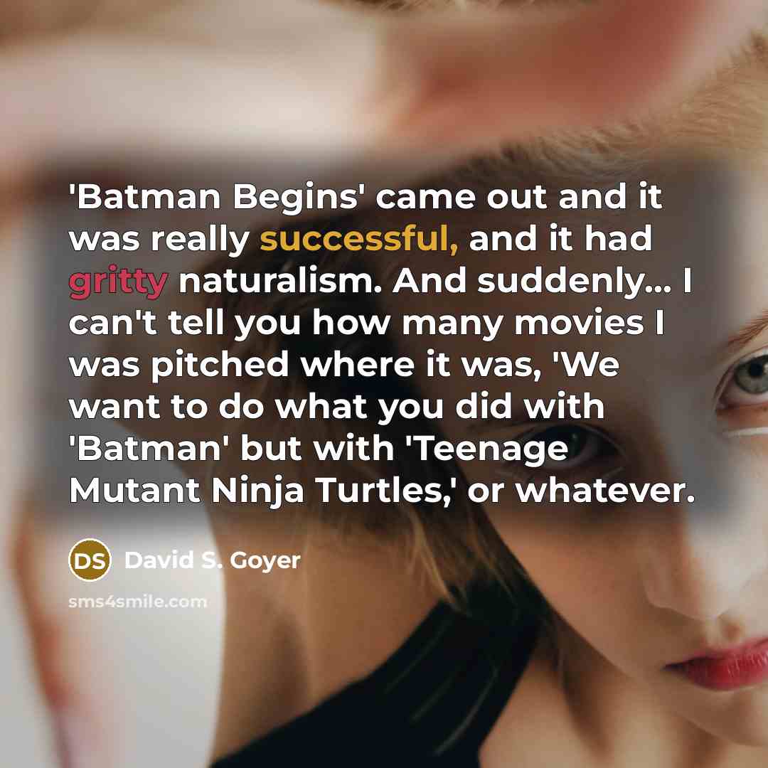 “'Batman Begins' came out and it was really successful, and…” quote by David S. Goyer