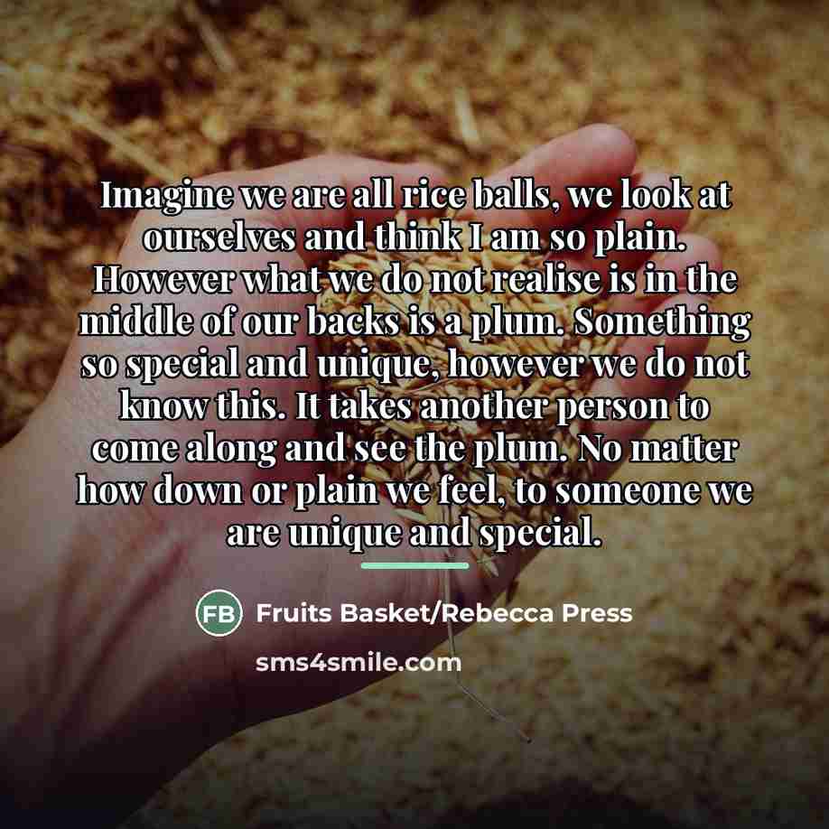 “Imagine we are all rice balls, we look at ourselves…” quote by Fruits Basket/Rebecca Press