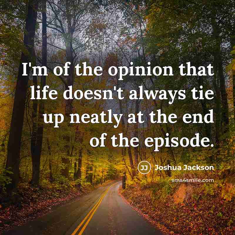 “I'm of the opinion that life doesn't always tie up neatly at the end of the episode.” quote by Joshua Jackson
