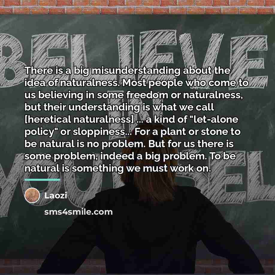 “There is a big misunderstanding about the idea of naturalness.…” quote by Laozi