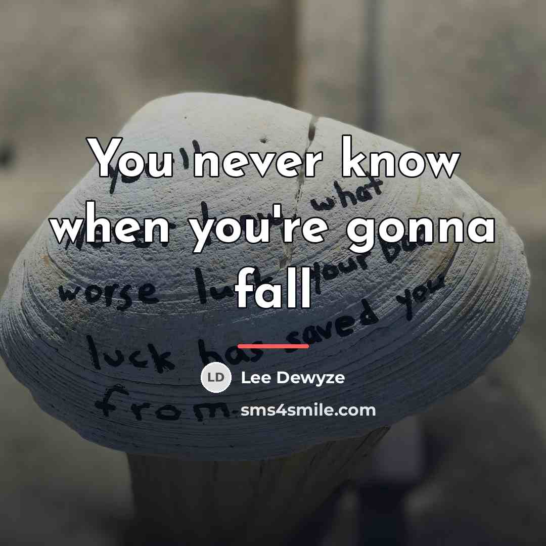“You never know when you're gonna fall…” quote by Lee Dewyze
