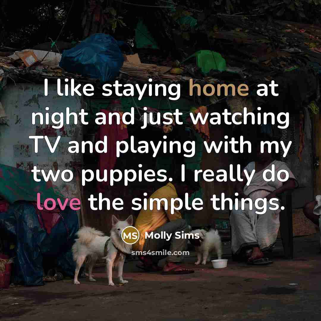 “I like staying home at night and just watching TV…” quote by Molly Sims