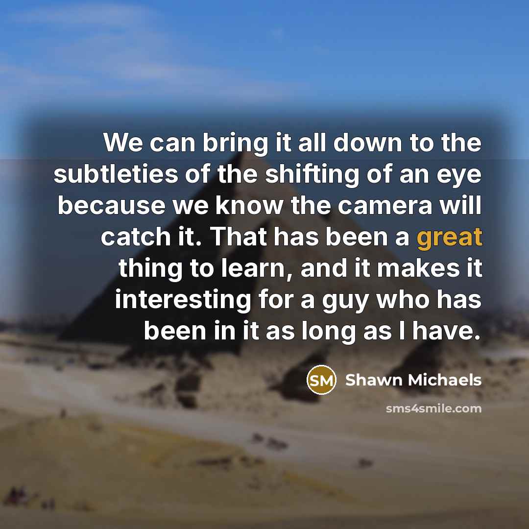 “We can bring it all down to the subtleties of…” quote by Shawn Michaels