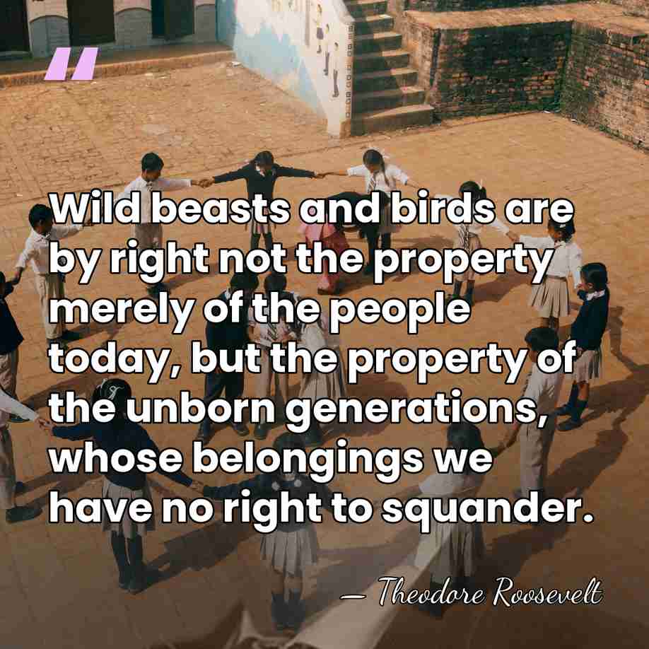 Wild beasts and birds are by right not the property merely of&hellip; - Theodore Roosevelt