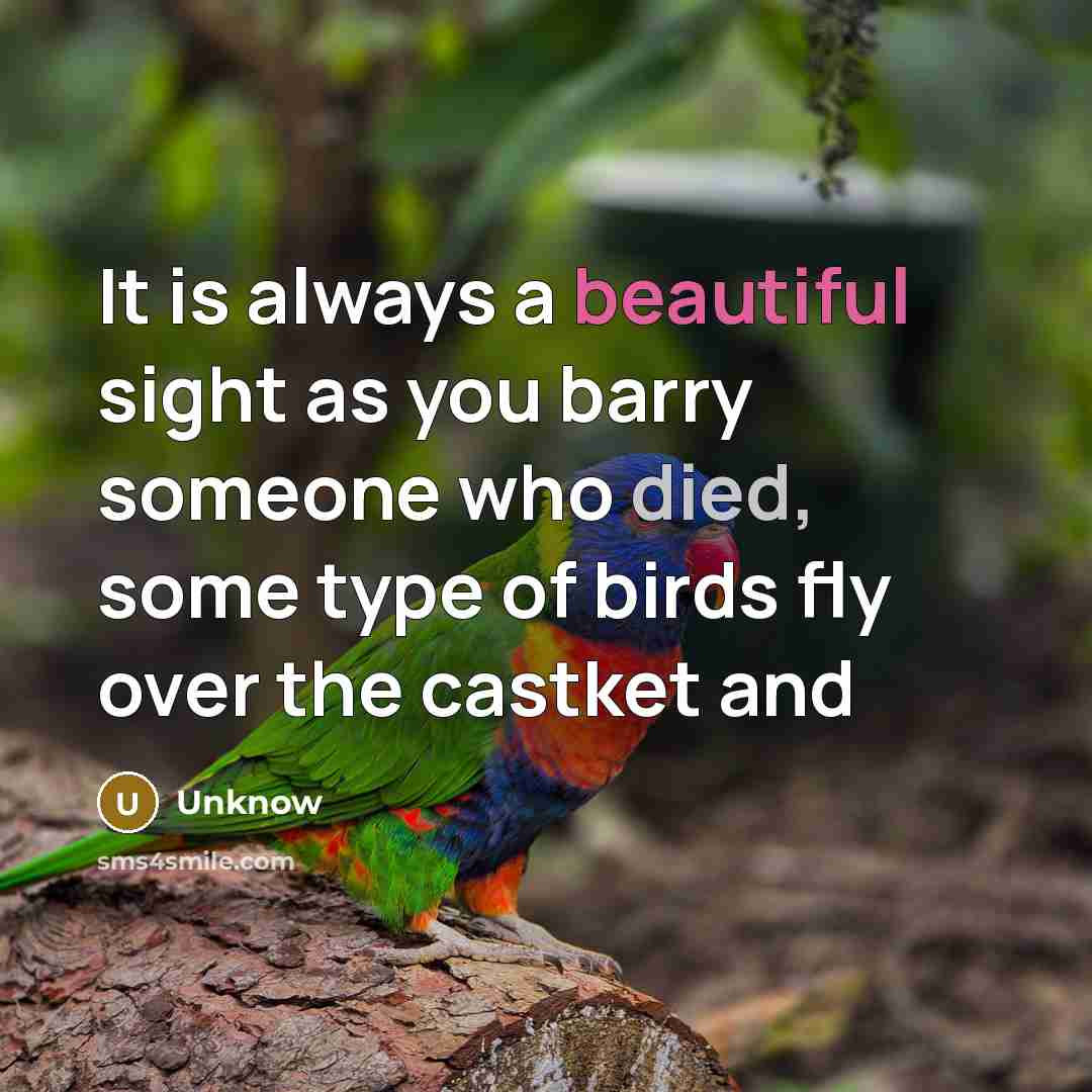 “It is always a beautiful sight as you barry someone who died, some type of birds fly over the castket and” quote by Unknow