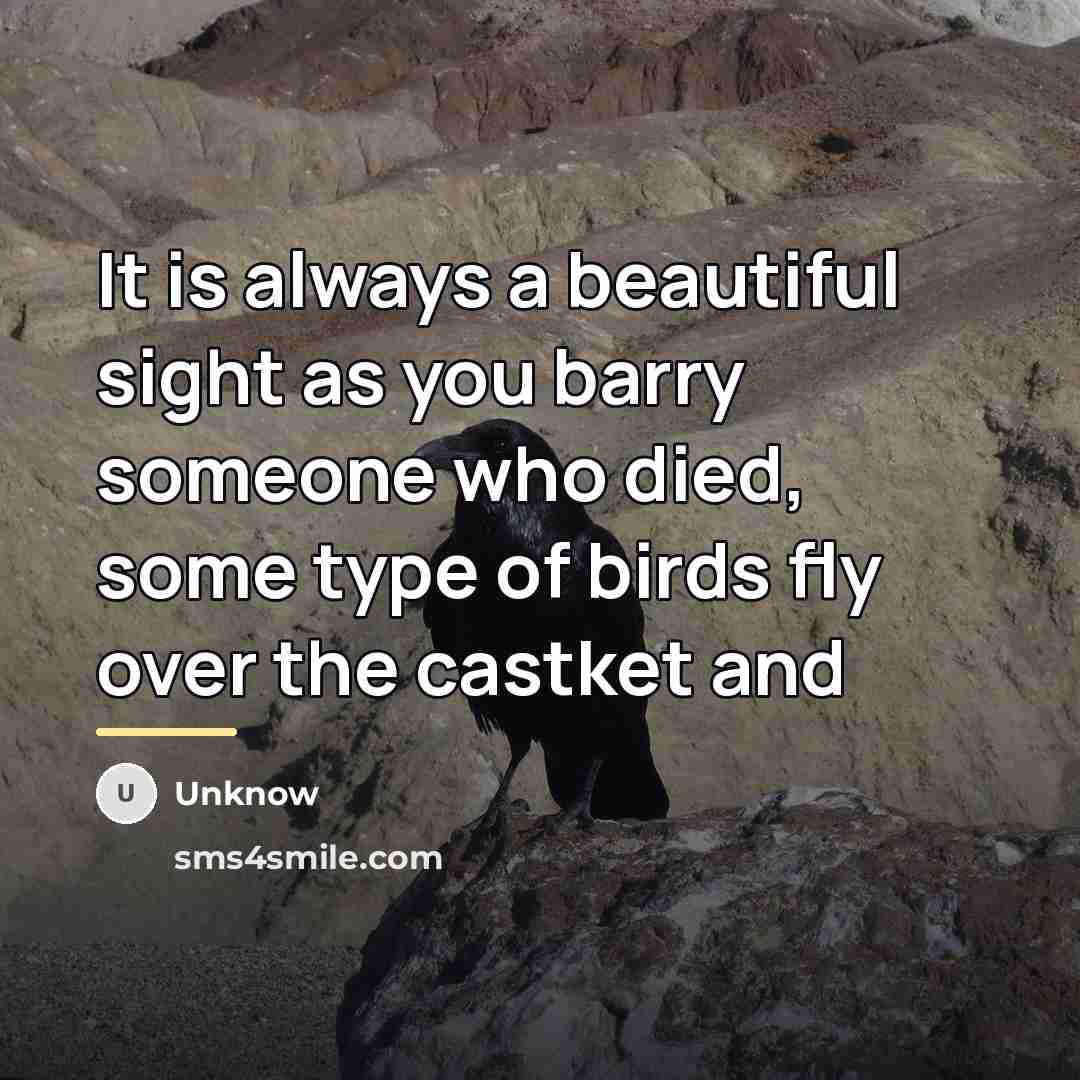 “It is always a beautiful sight as you barry someone…” quote by Unknow