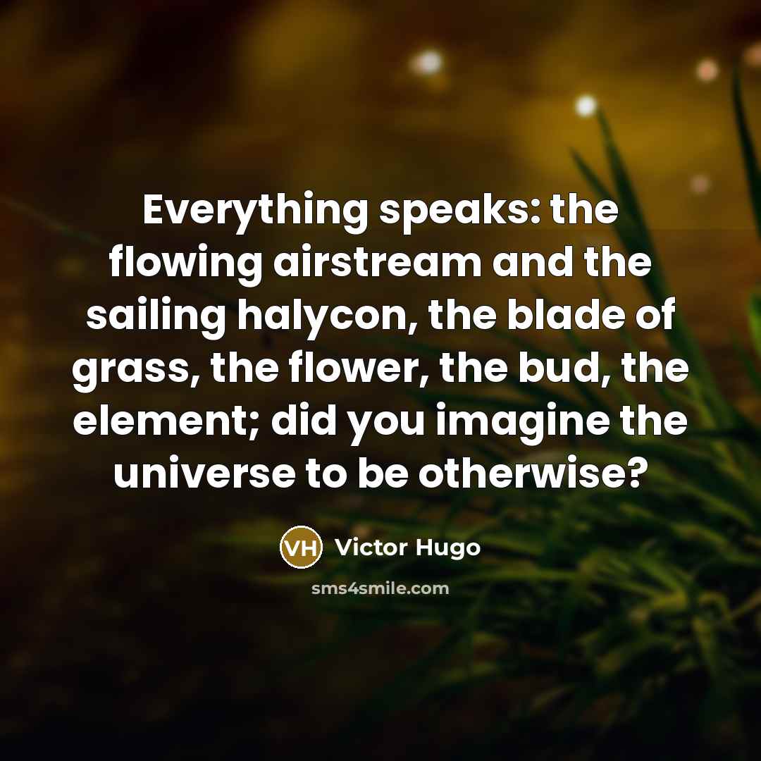 “Everything speaks: the flowing airstream and the sailing halycon, the…” quote by Victor Hugo